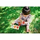 Wooden Puzzle - Counting Vegetables - Spring Garden