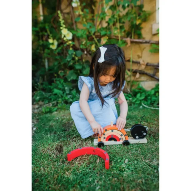 Pull and string toy Ladybug - Spring Garden