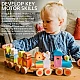 Wooden Train - Animal Sorter