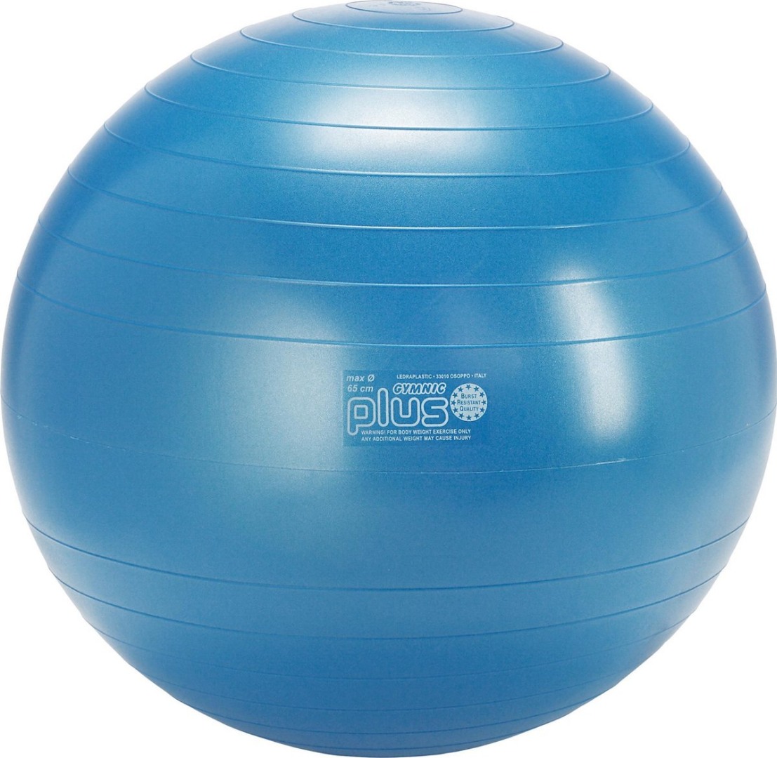 Gymnic Plus 65BRQ син