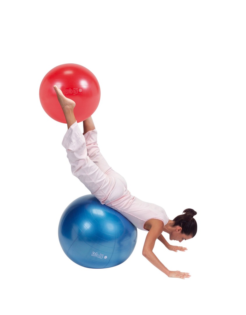 Gymnic Plus 65BRQ син