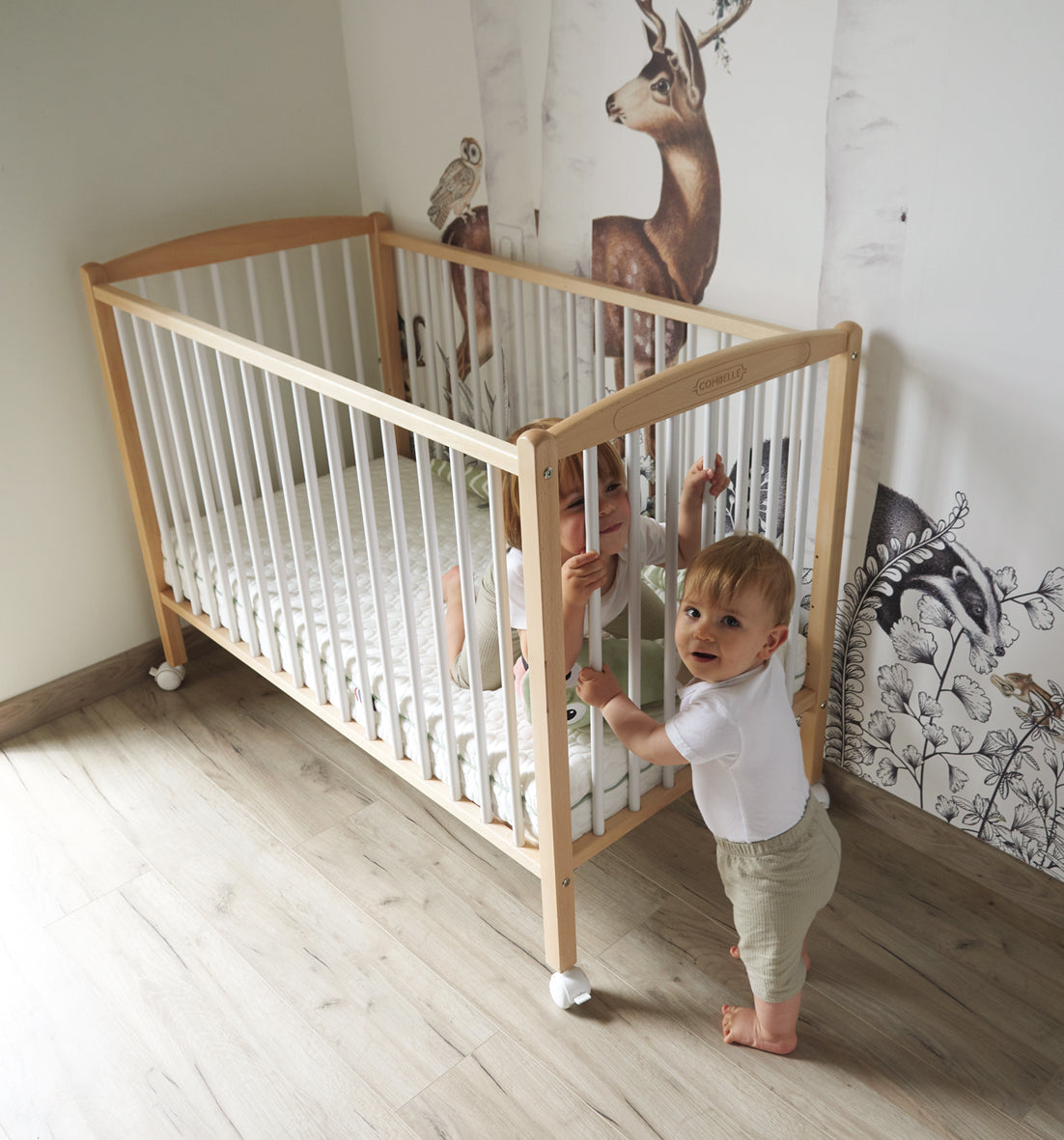 Матрак Evolutif Fresh 60X120См (12См Дебелина) Candide