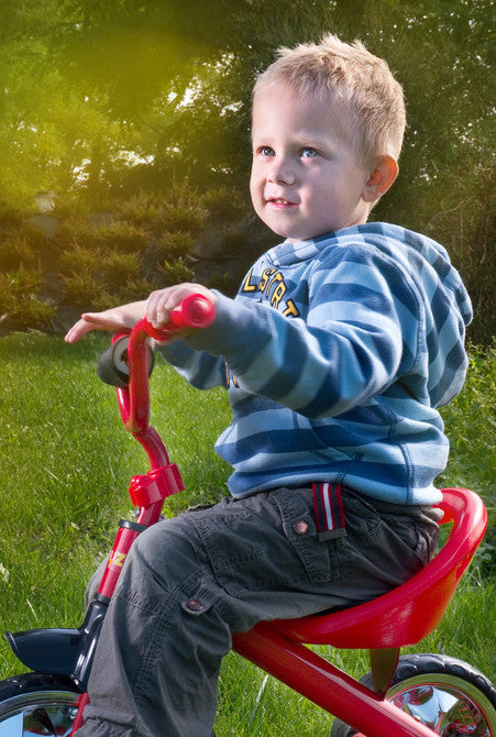 Триколка York Purple Caretero Toyz
