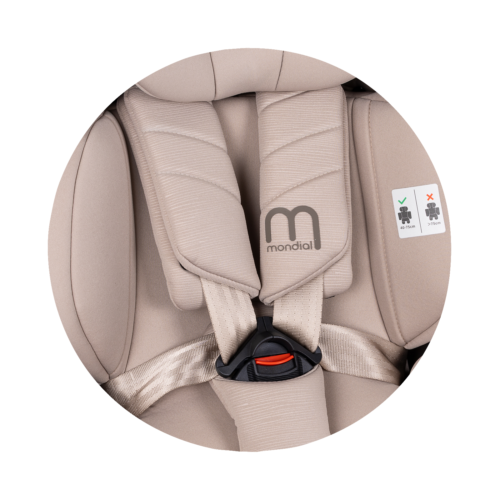 Car seat 40-150 cm MONDIAL latte