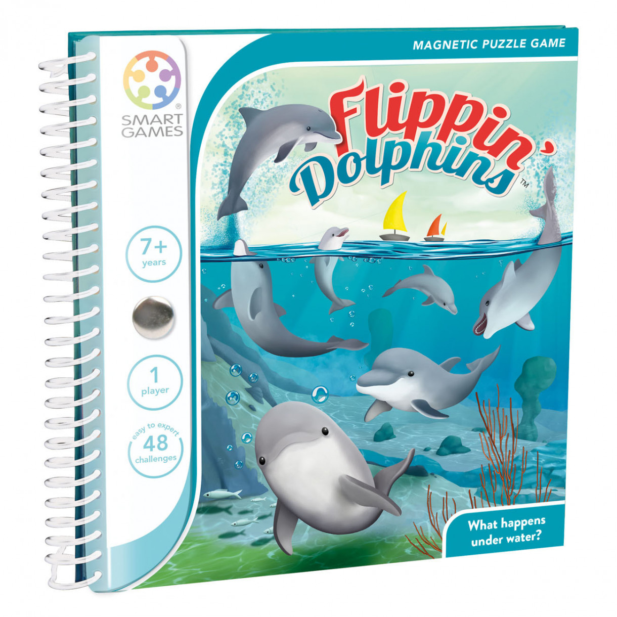 A magnetic puzzle game about flipping dolphins