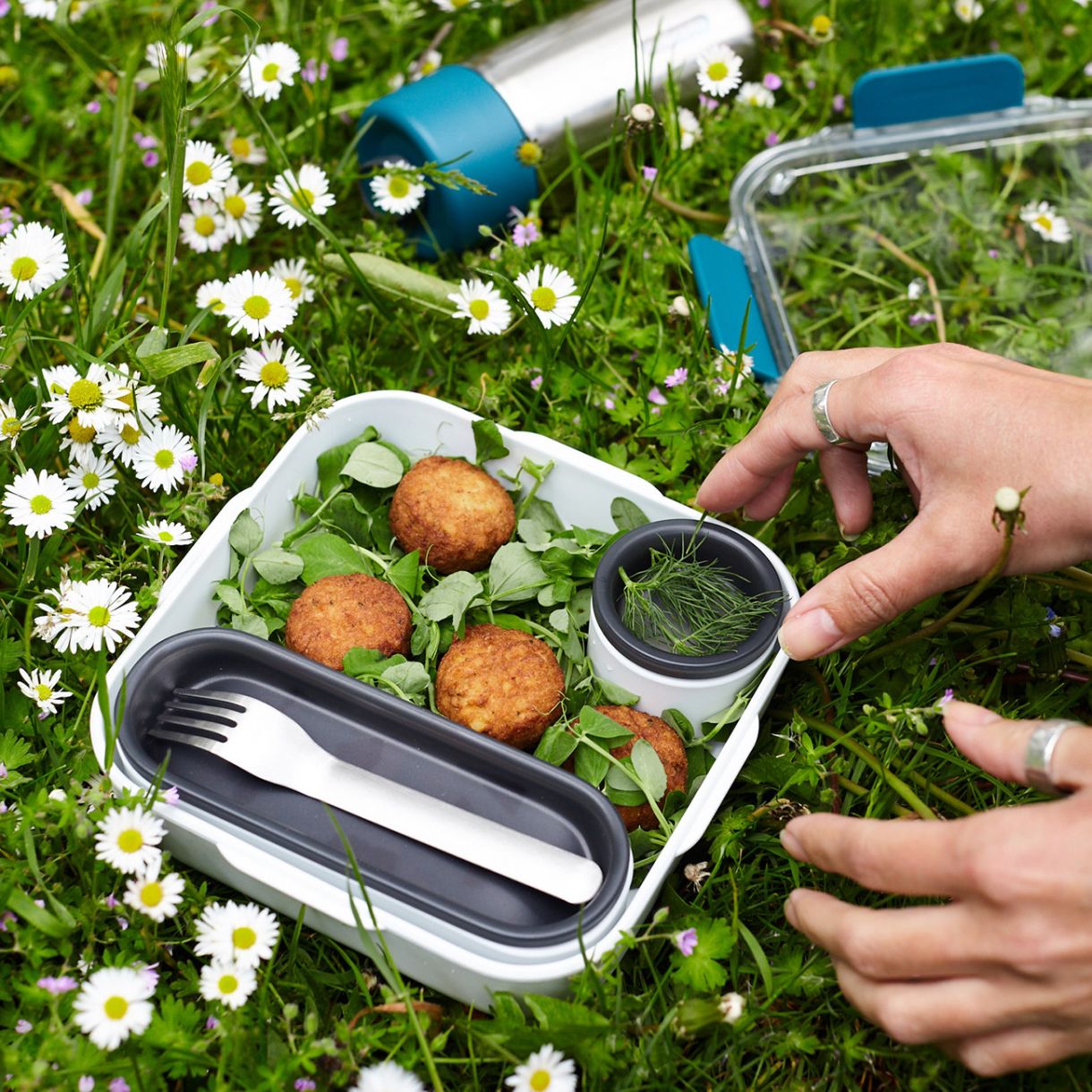Lunch box Original Ocean color