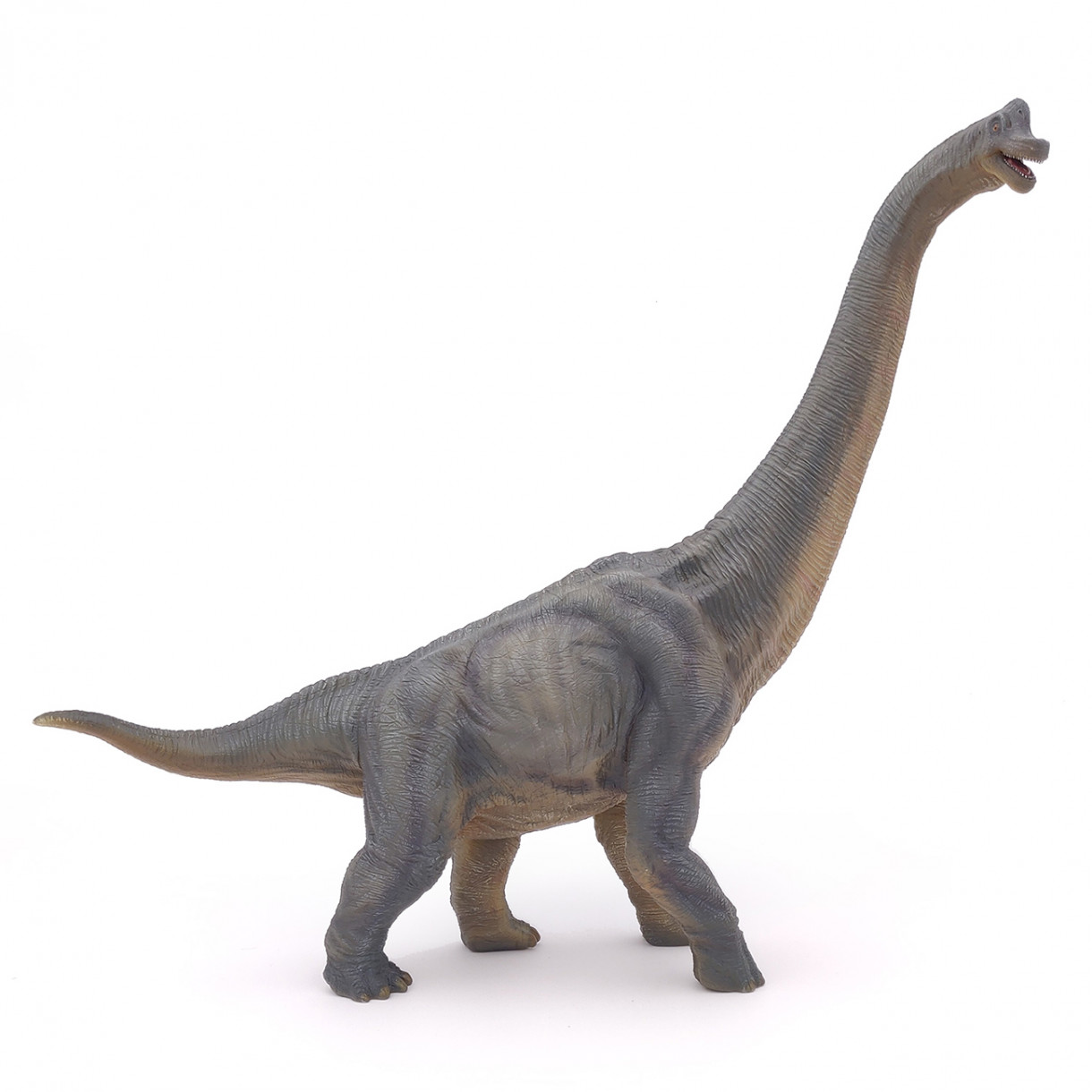 Brachiosaurus figurine