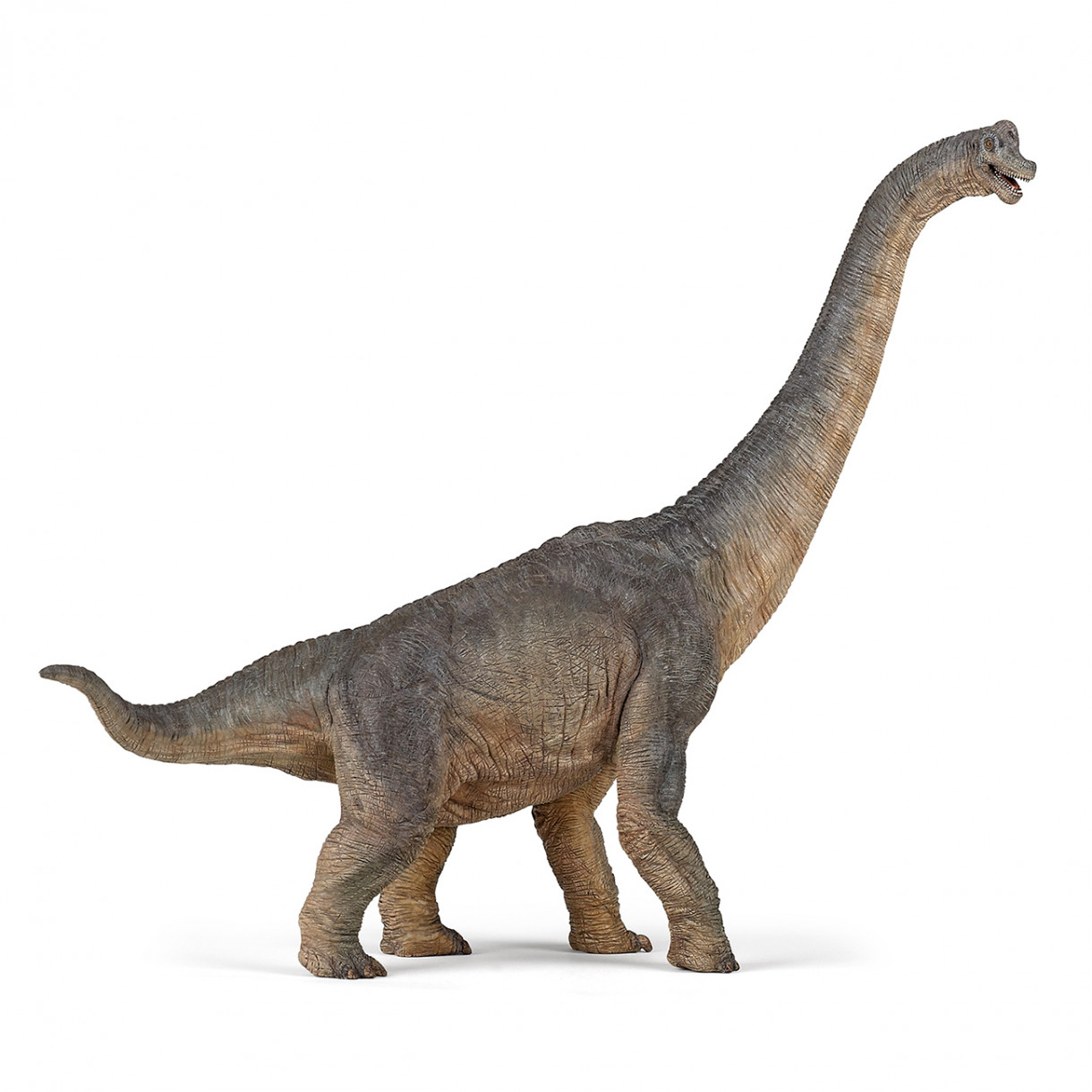 Brachiosaurus figurine