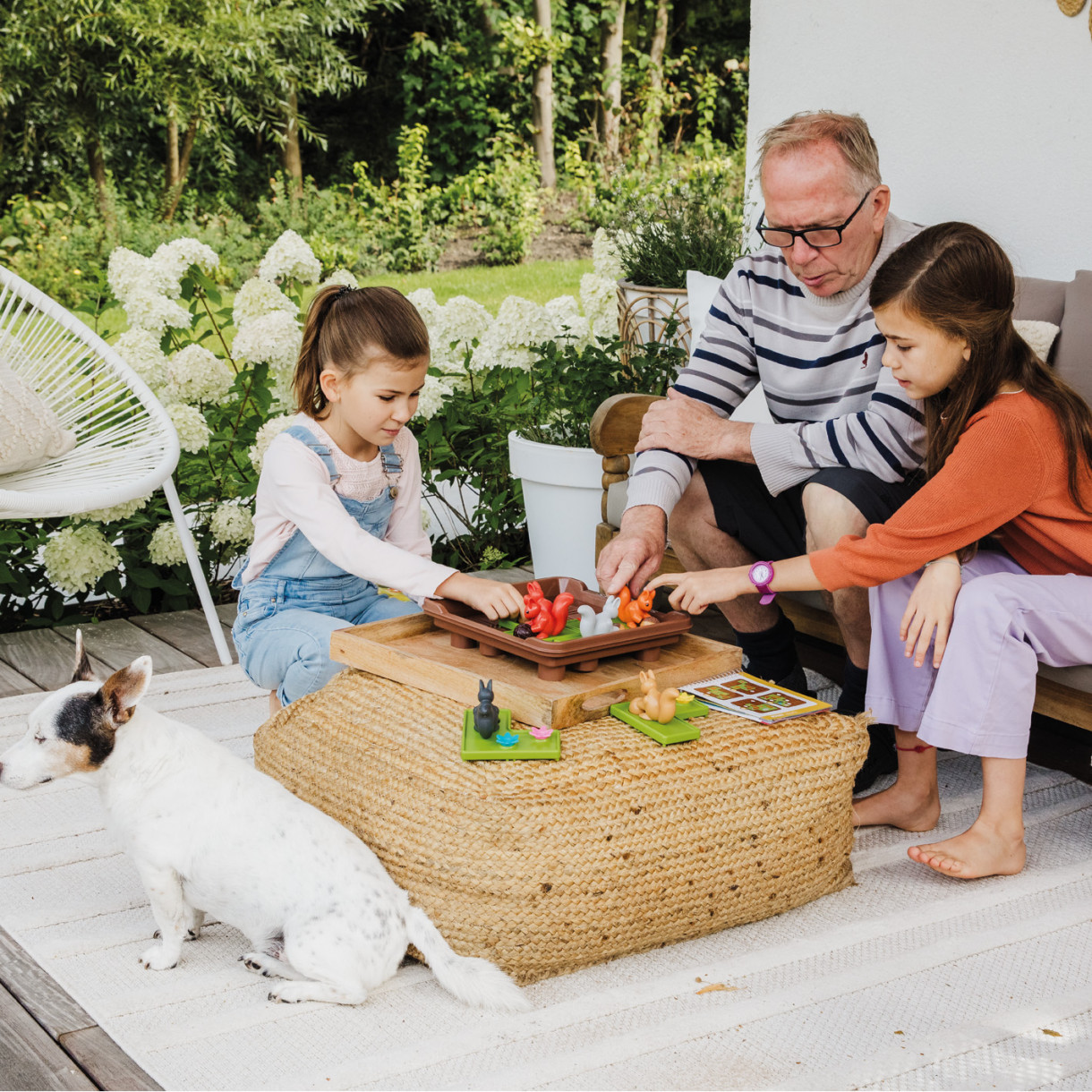 Puzzle game squirrels go for acorns XXL