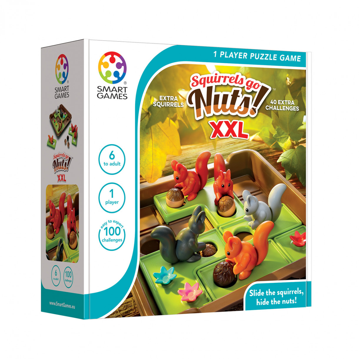 Puzzle game squirrels go for acorns XXL