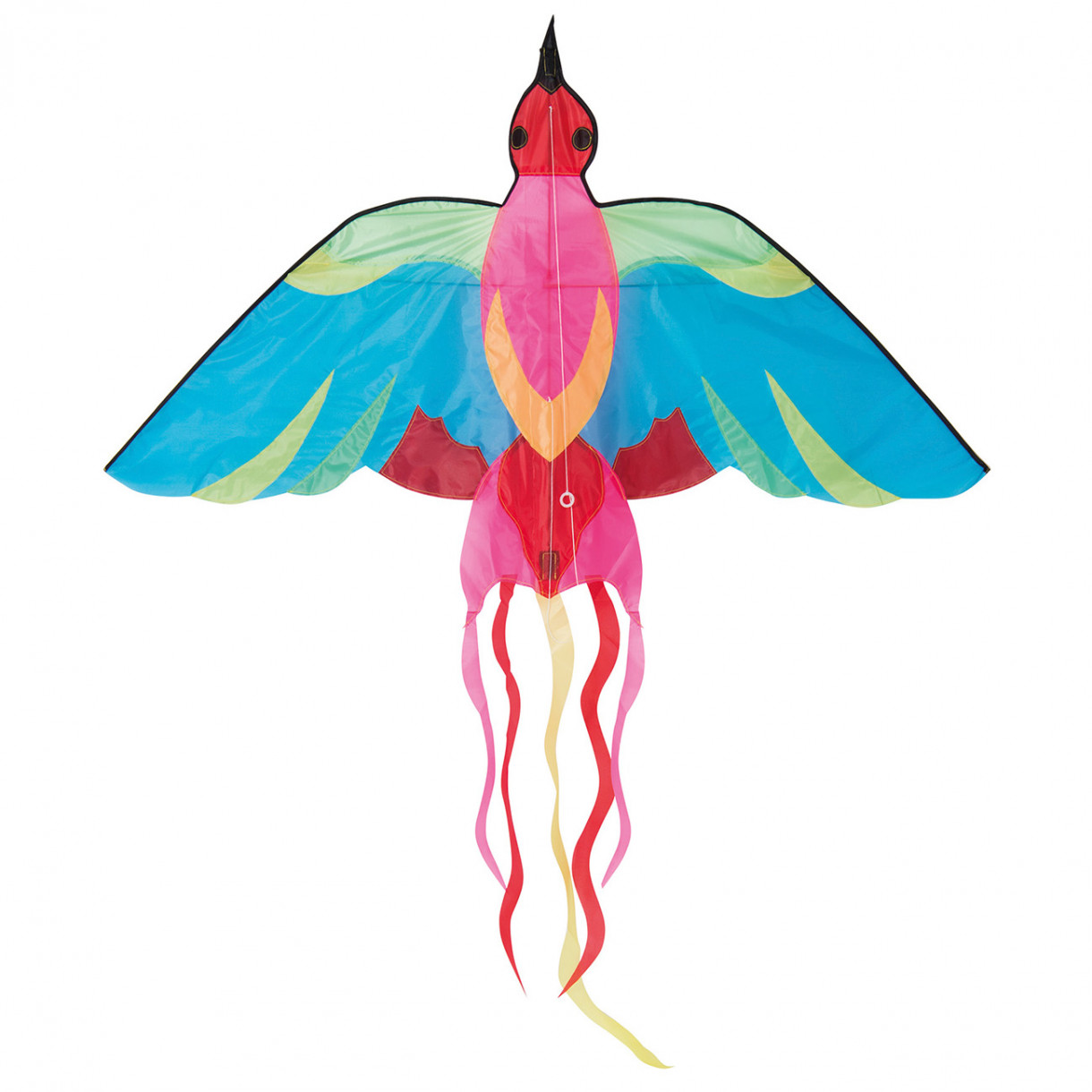 Kite bird