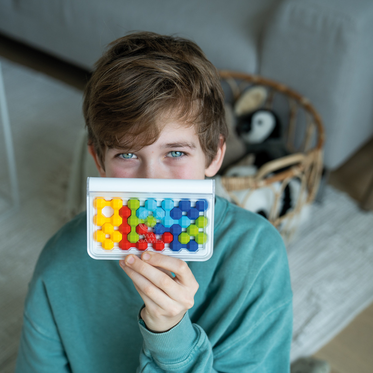 Логическа игра IQ twins