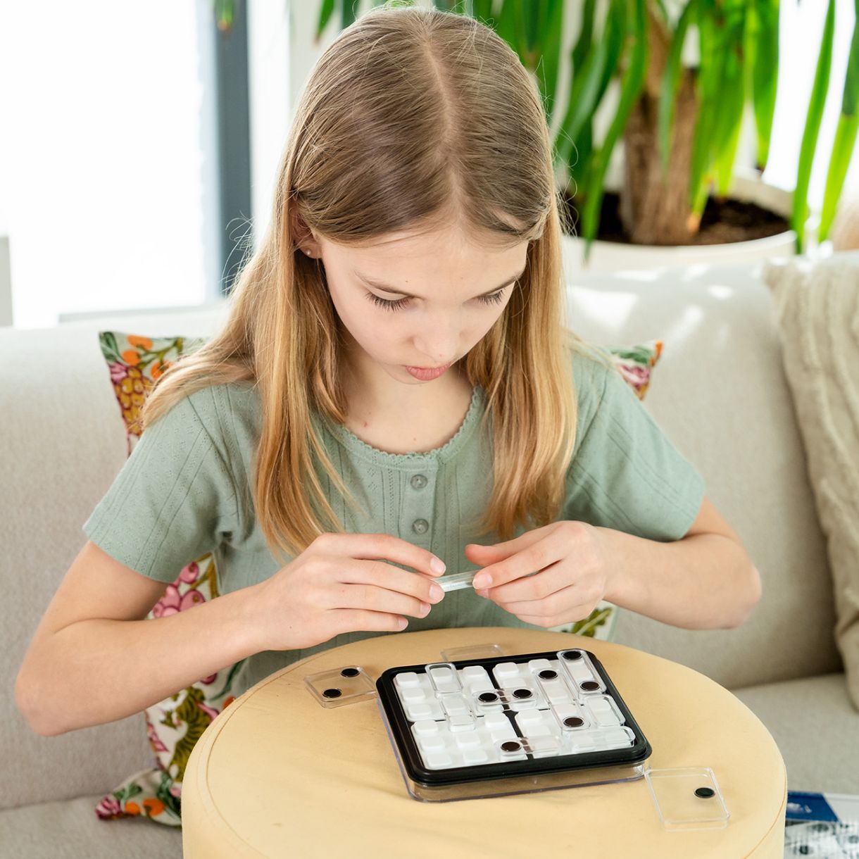 Logic game dice deduction
