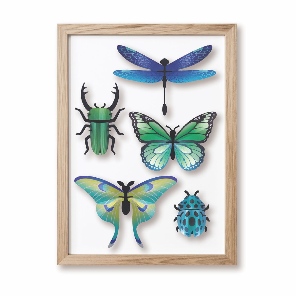 3d models for assembly insects Color green