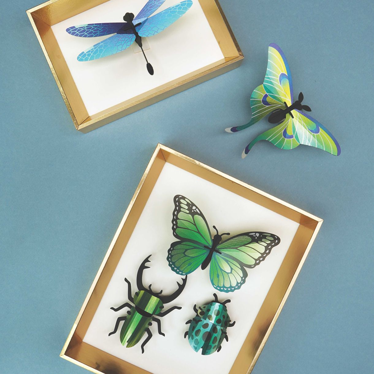 3d models for assembly insects Color green