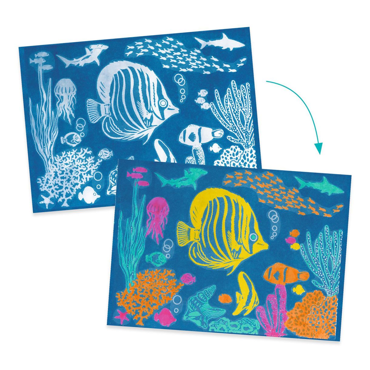 Underwater world cyanoprint studio
