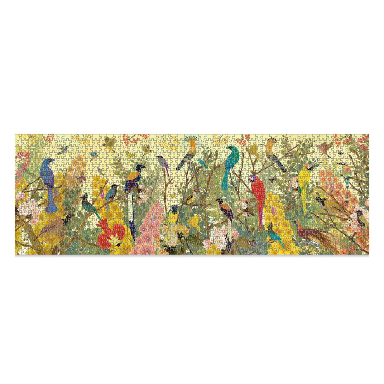 Puzzle Magnificent Birds 1000 pieces Djeco