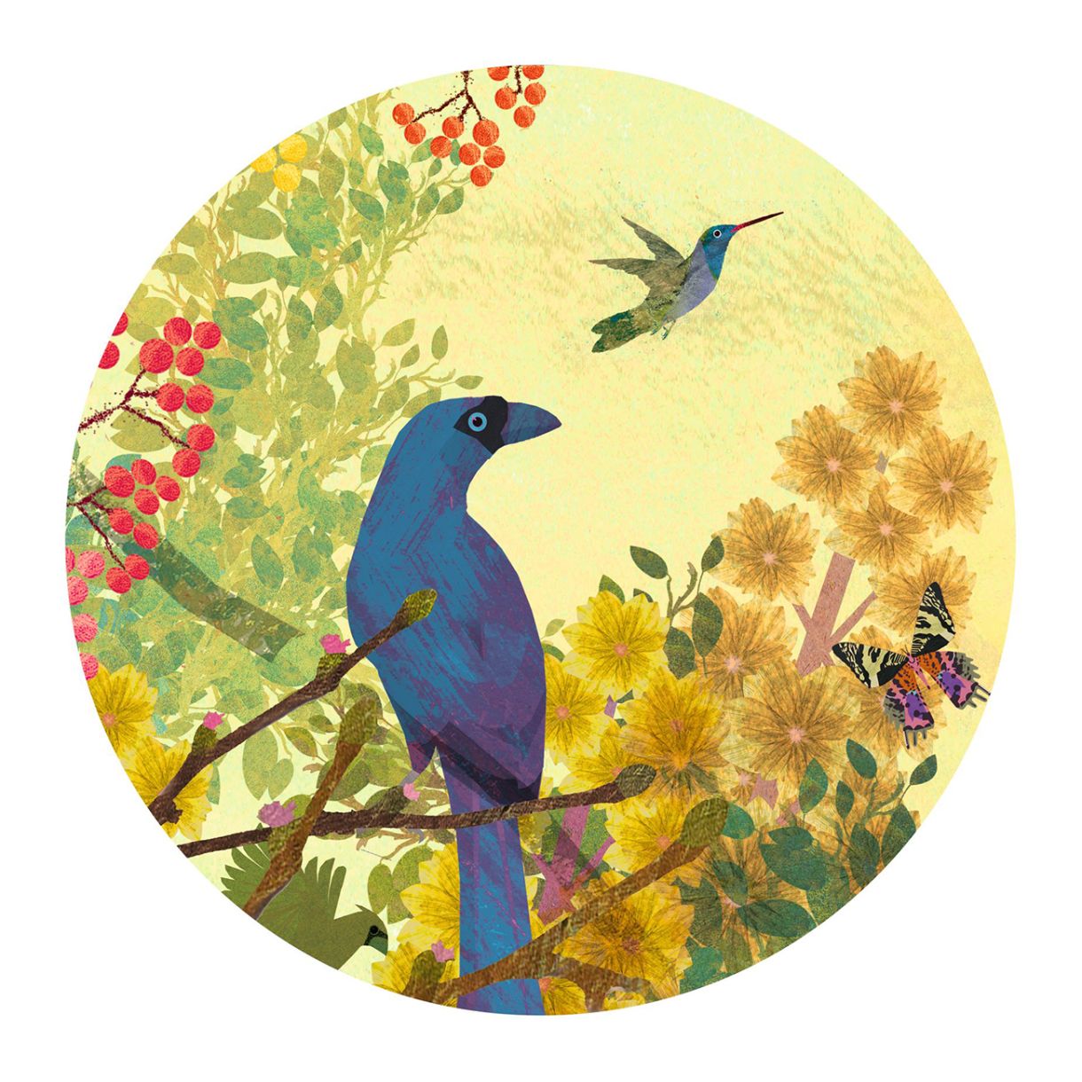 Puzzle Magnificent Birds 1000 pieces Djeco