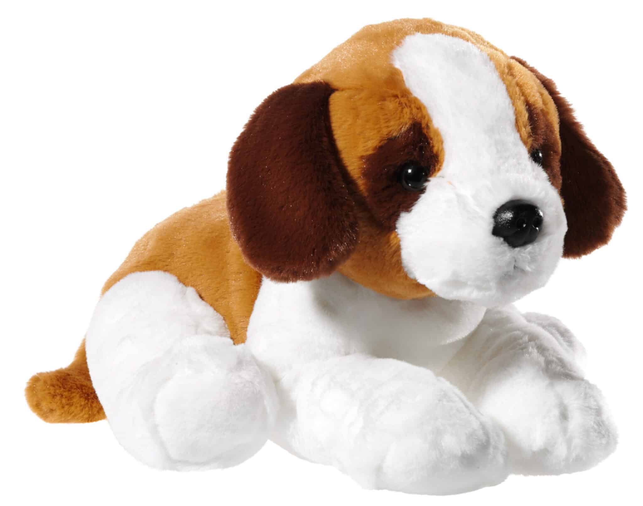A large Saint Bernard puppy /38 cm/ has weight seeds on each paw
