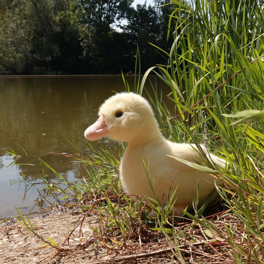 Plush Yellow duck 24 cm.