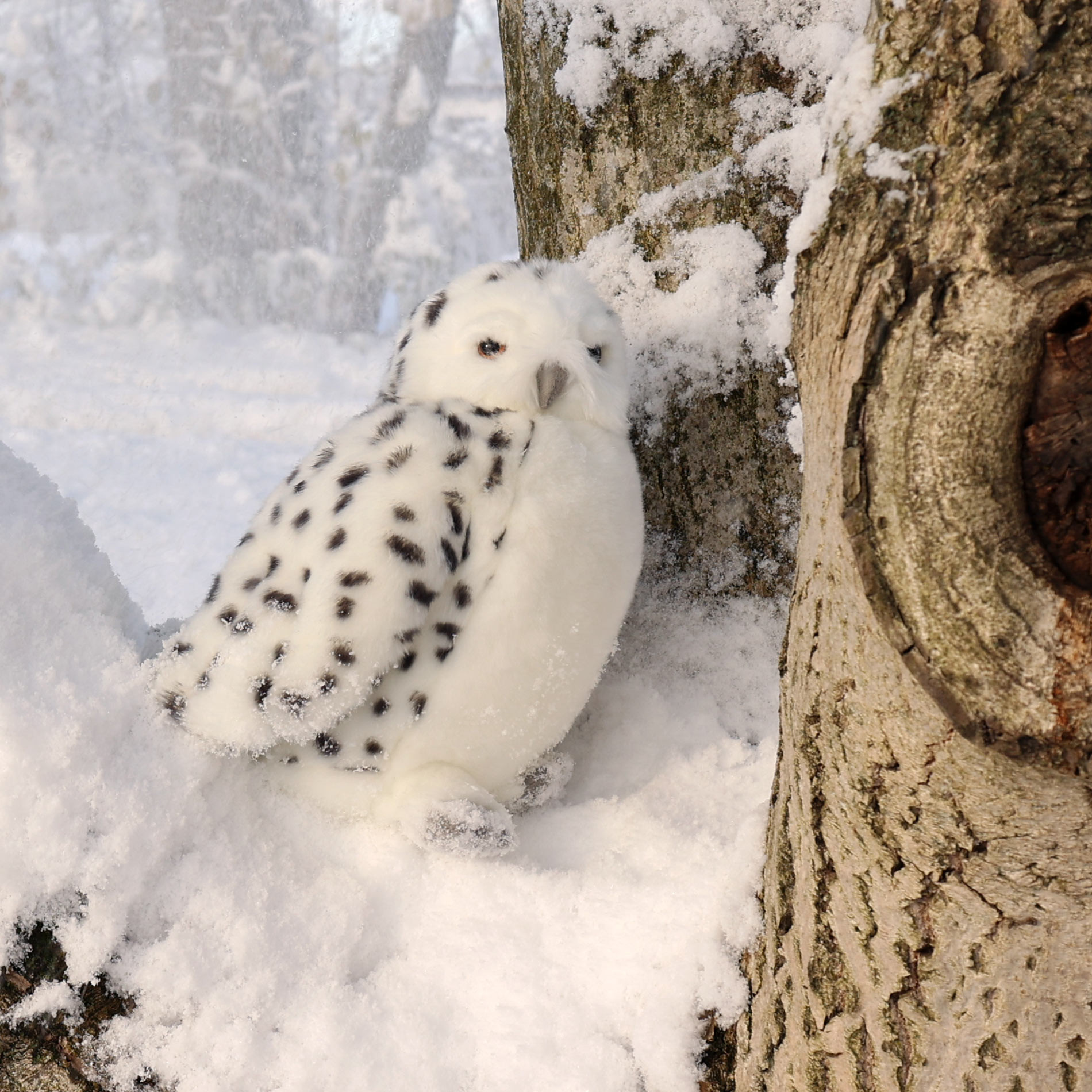 Plush White Owl with rotating head 28 cm.