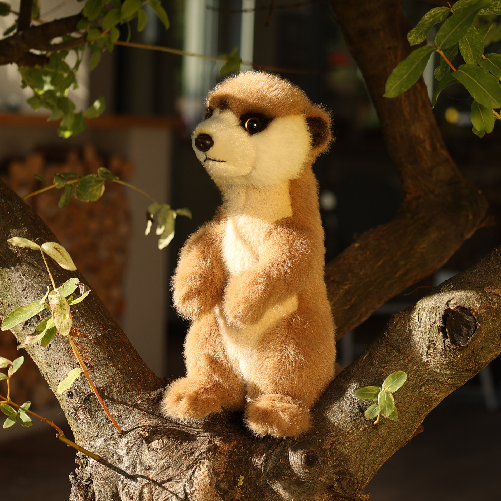 Plush Meerkat standing 23 cm. Soft Collection series