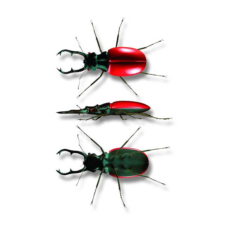 Optical device for triple observation of insects in different colors