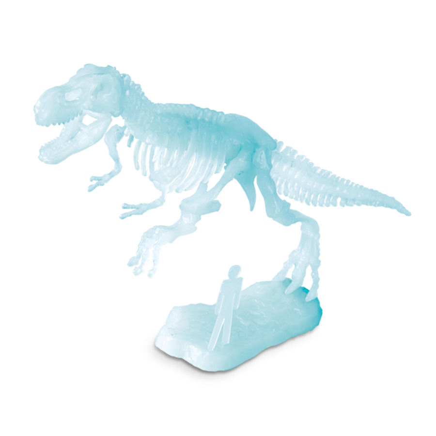 Т-Rex светещ в тъмното