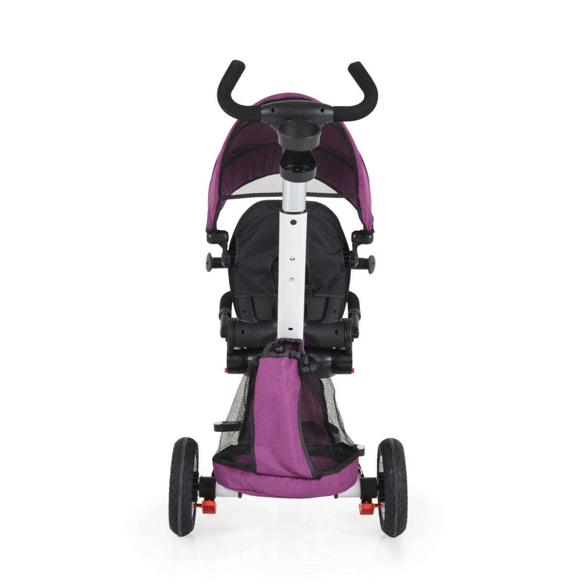 Tricycle Flexy Lux purple