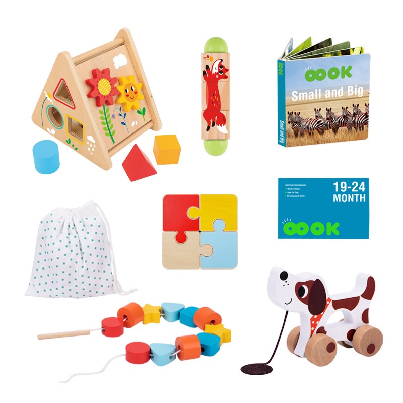 Tooky Toy TK753 Montessori Educational Box 19-24m
