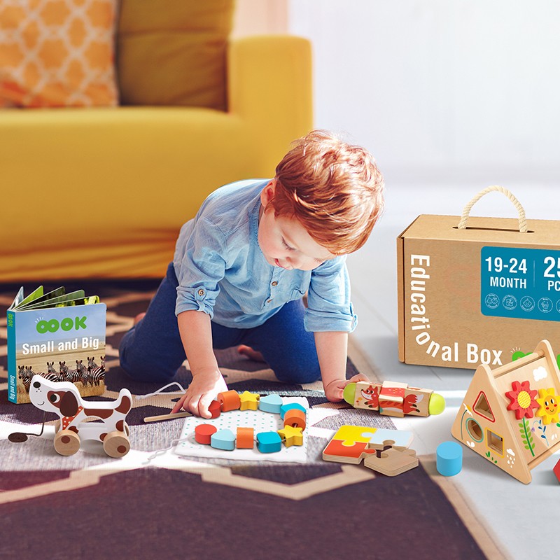 Tooky Toy TK753 Montessori Educational Box 19-24m