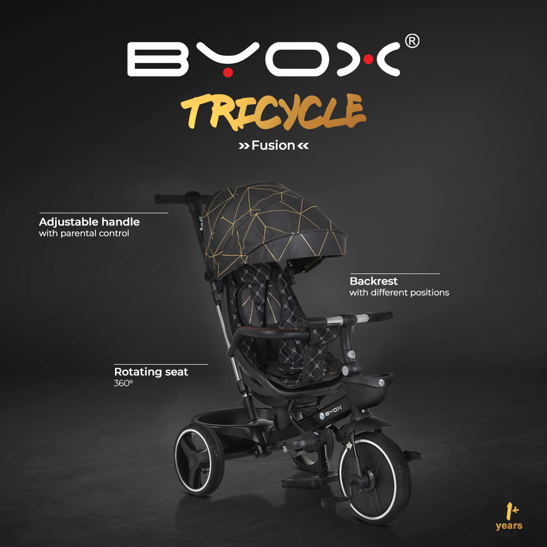 Tricycle Fusion gray