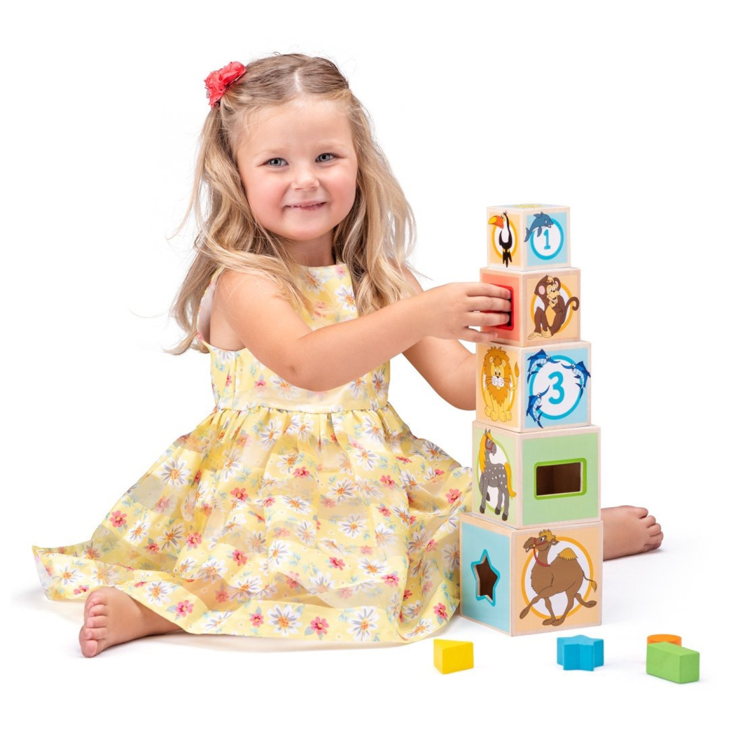 Wooden animal sorter cubes Age: 1+