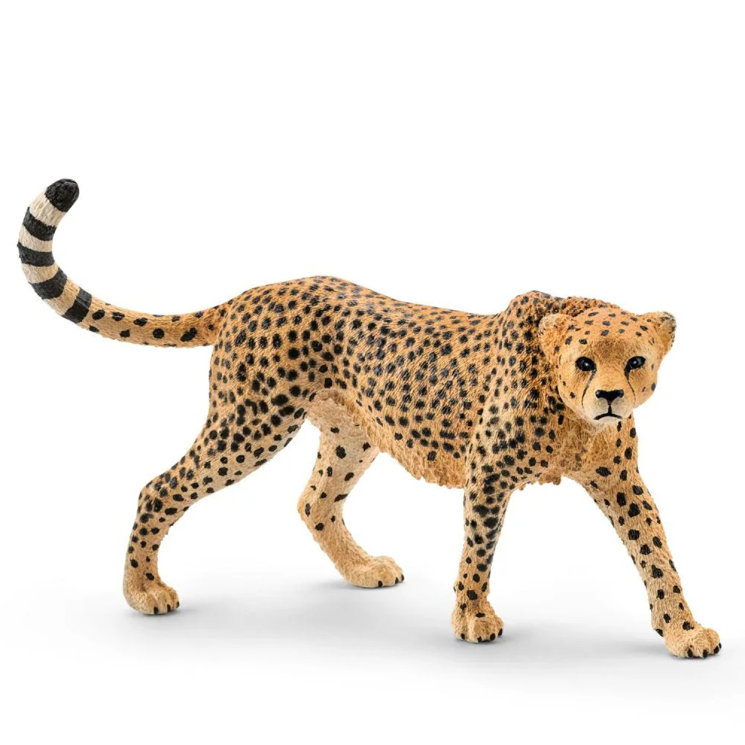 Фигурка Гепард, Schleich Възраст: 3+
Размер: 10х5х2см