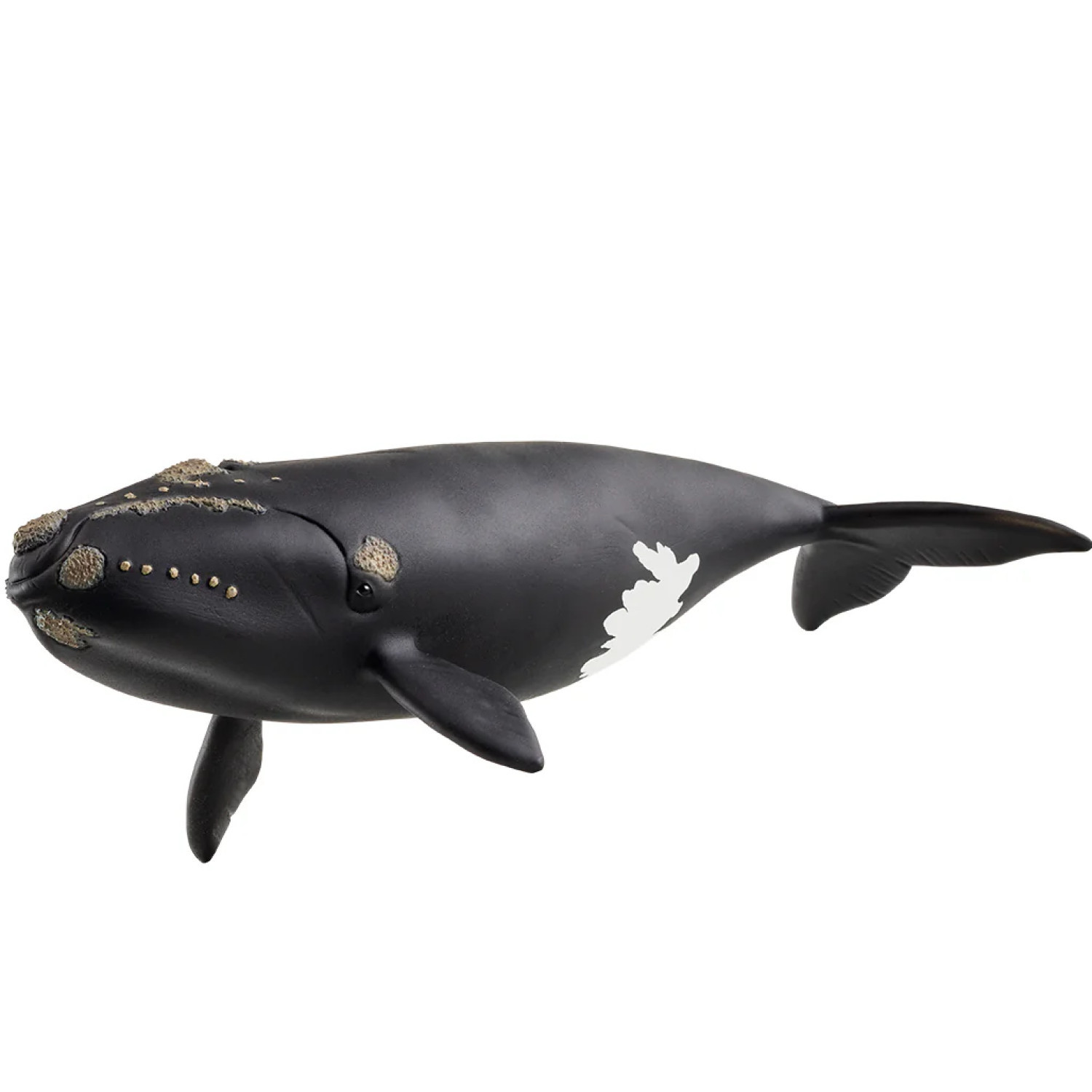 Фигурка Бискайски кит, Schleich Възраст: 3+
Размер: 19.5х9.7х4.5см