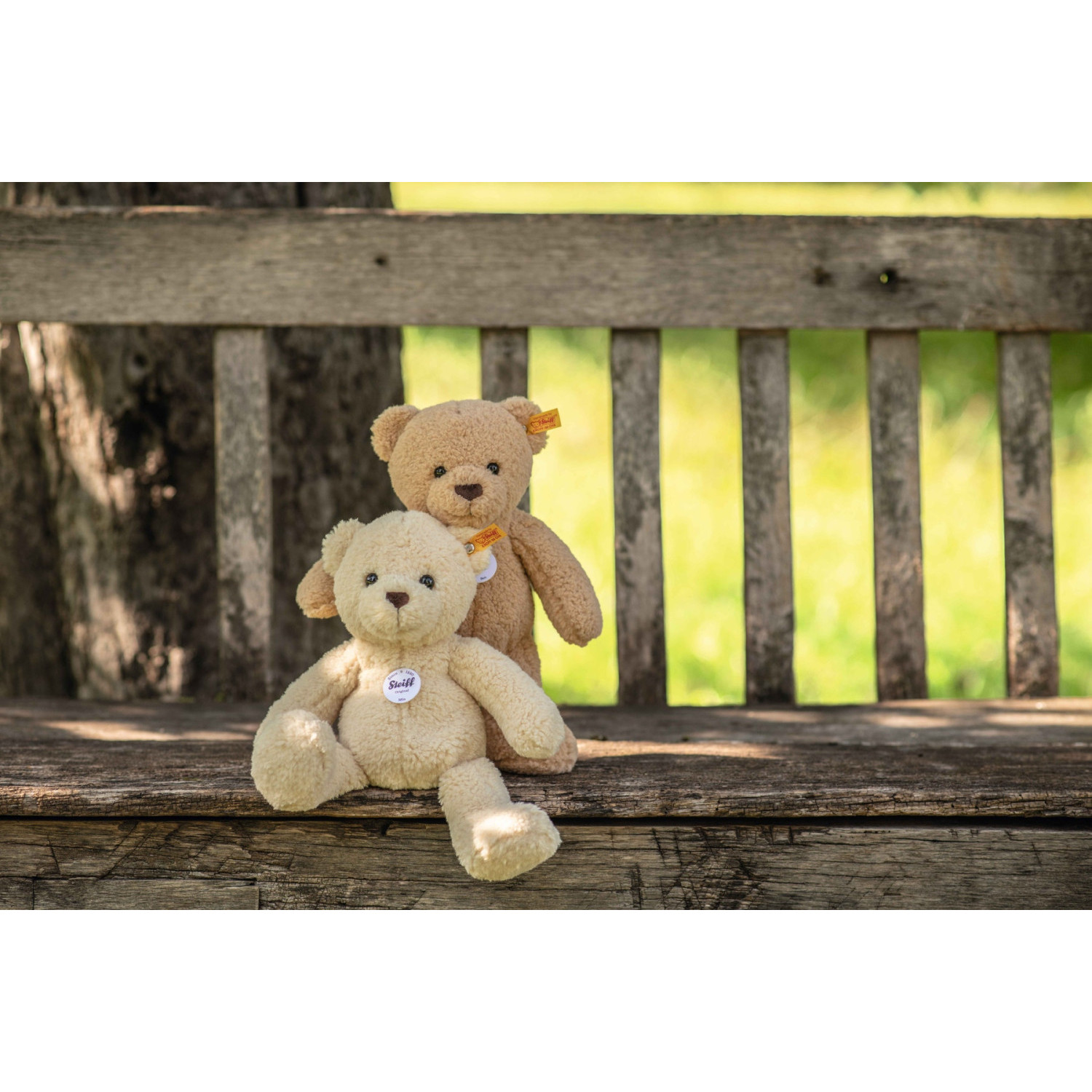 Mila Teddy bear Size: 30 cm Class: Friends