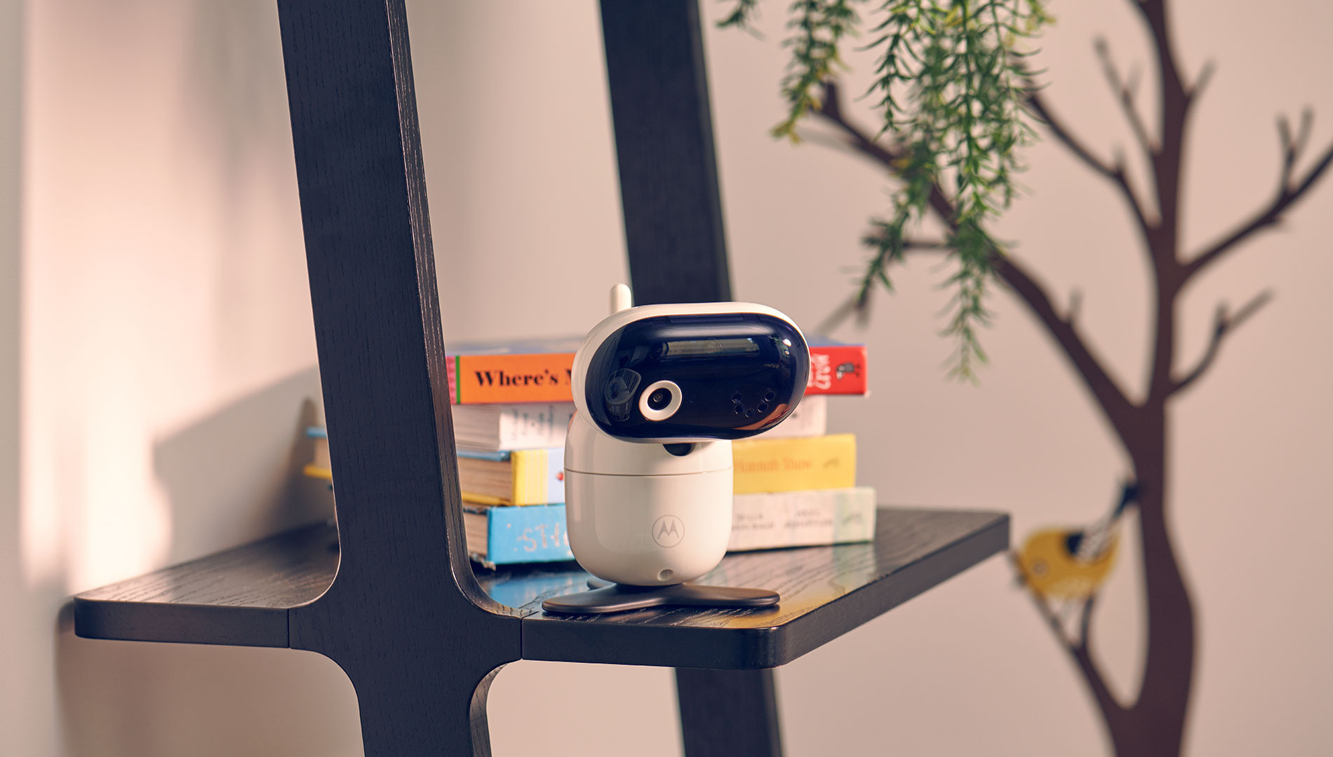 Motorola PIP 1010 IP Camera