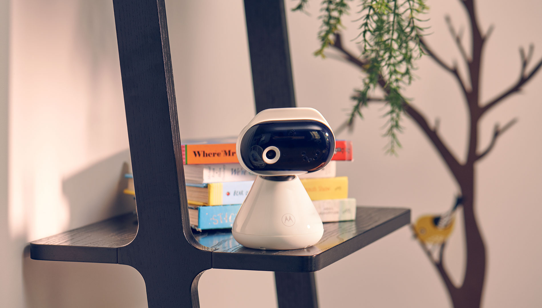 Motorola PIP1000 IP Camera
