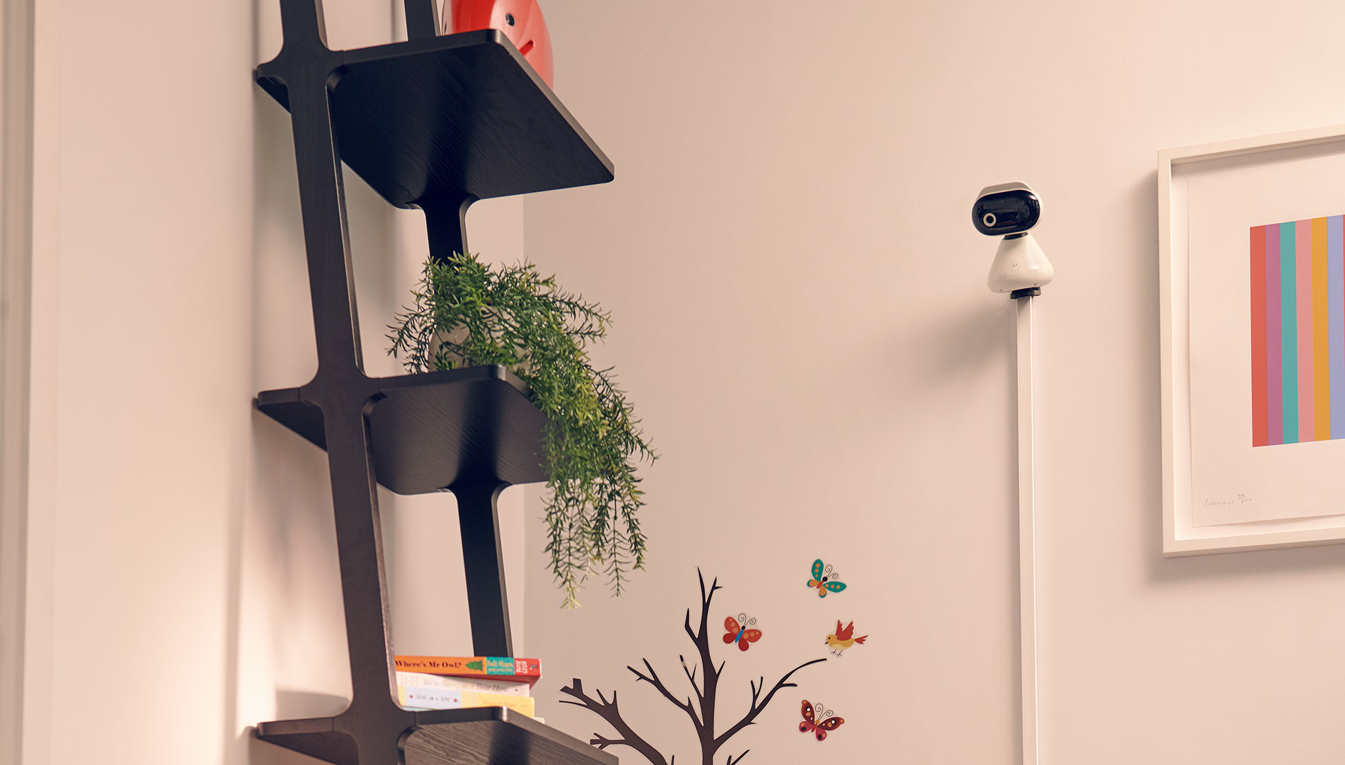 Motorola PIP1000 IP Camera