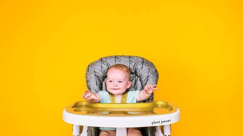 Cosatto CT4217 NOODLE 0+ FIKA FOREST high chair
