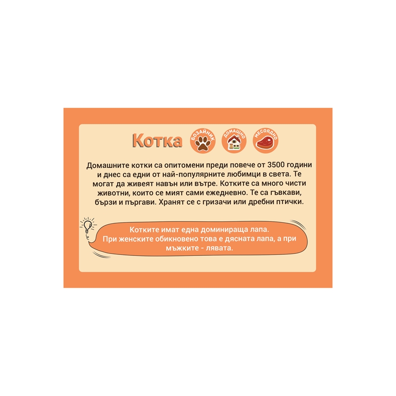 Cubos Образователни карти - Животни, 50 броя
