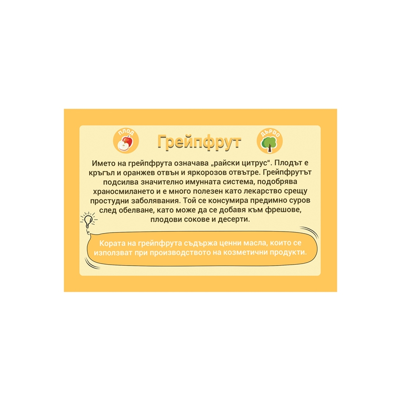 Cubos Образователни карти - Плодове и зеленчуци, 50 броя