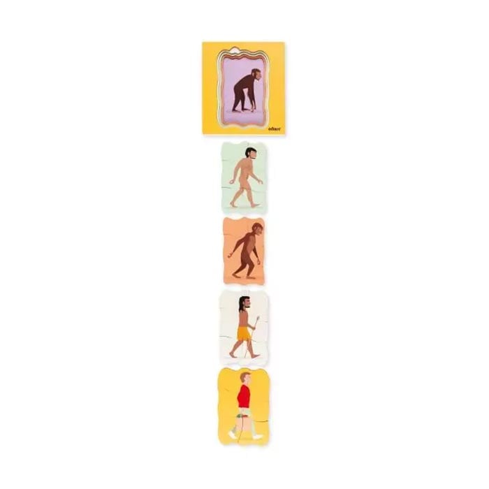 Nowa Szkola Puzzle Human evolution, in layers