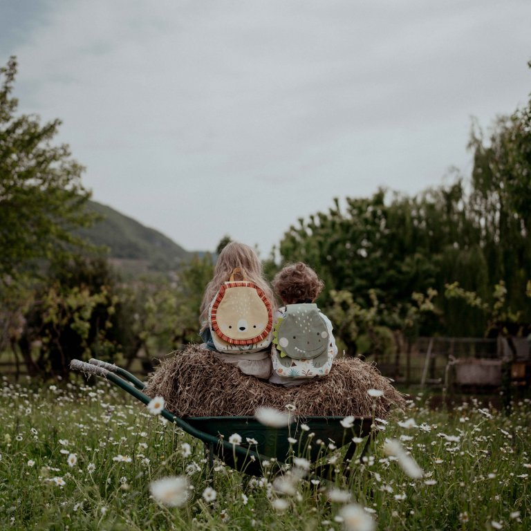 Small children’s backpack, Sassi, Lion