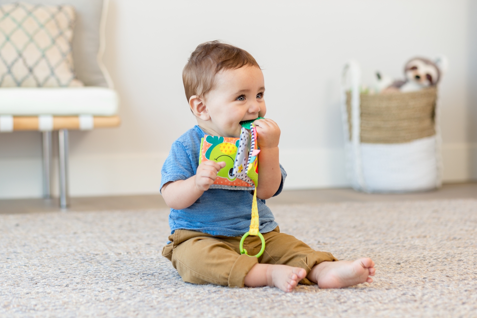 Sensory baby book, Infantino, Animals