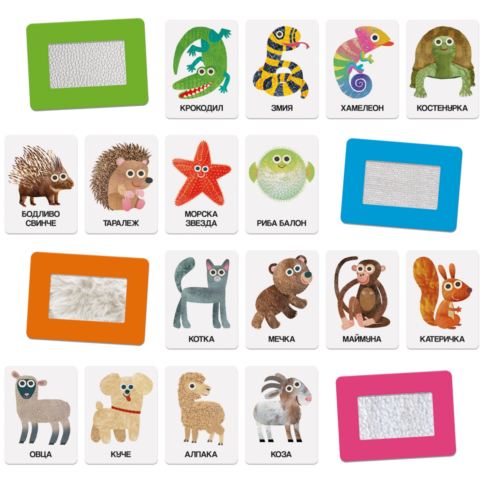 Educational set, Headu, Flash cards, Tactile animals