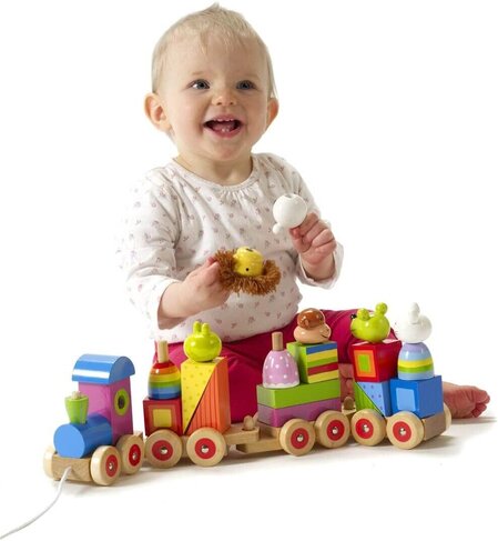 Large wooden train, puzzle and sorter - Animals Collection