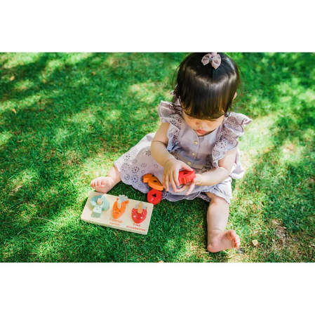 Wooden Puzzle - Counting Vegetables - Spring Garden