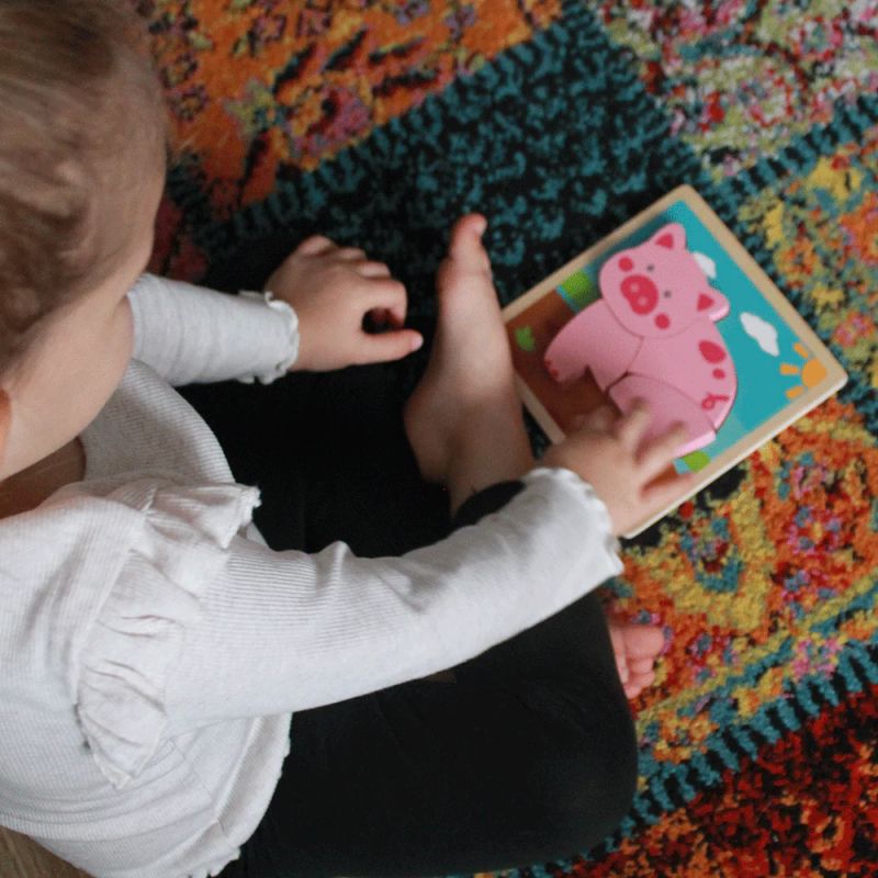 Bigjigs - Wooden children’s puzzle - Pink pig